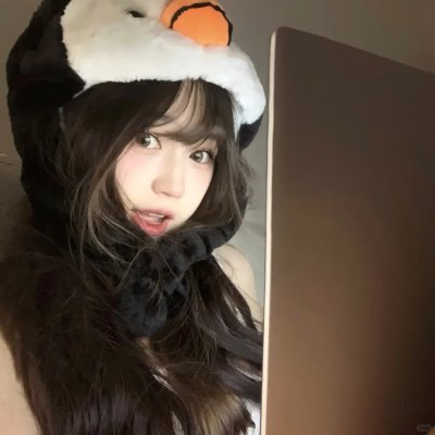 小象情缘 在线观看
