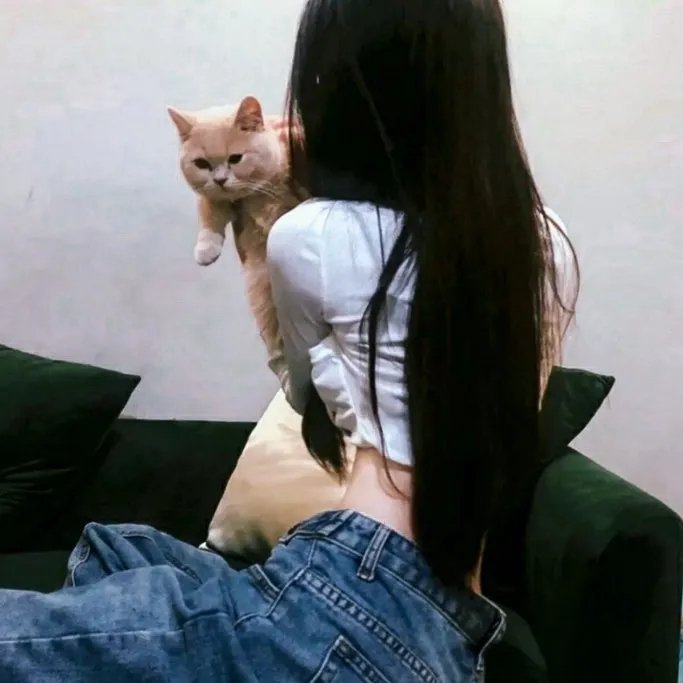 冰球小子第三季 在线观看