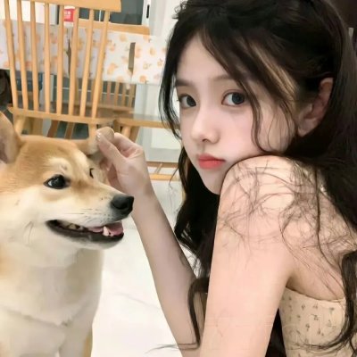 总统刺杀令 在线观看